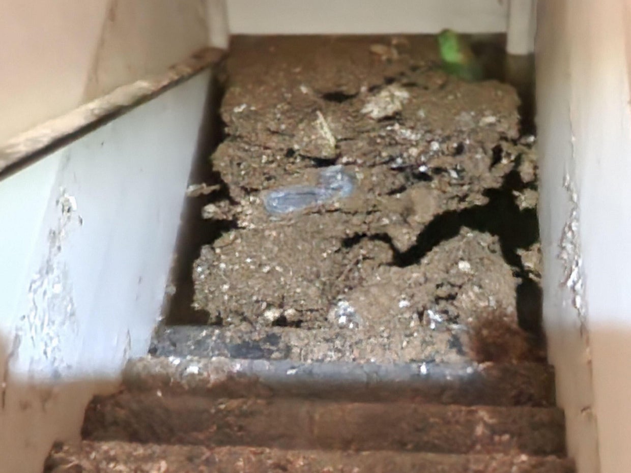 Florida water “looks like root beer, smells like dead fish” after