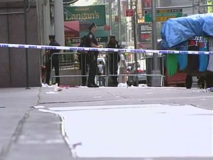 Police At Site Of Dominican Day Parade Stabbing 