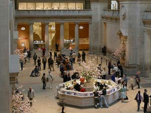 Metropolitan Museum Of Art 