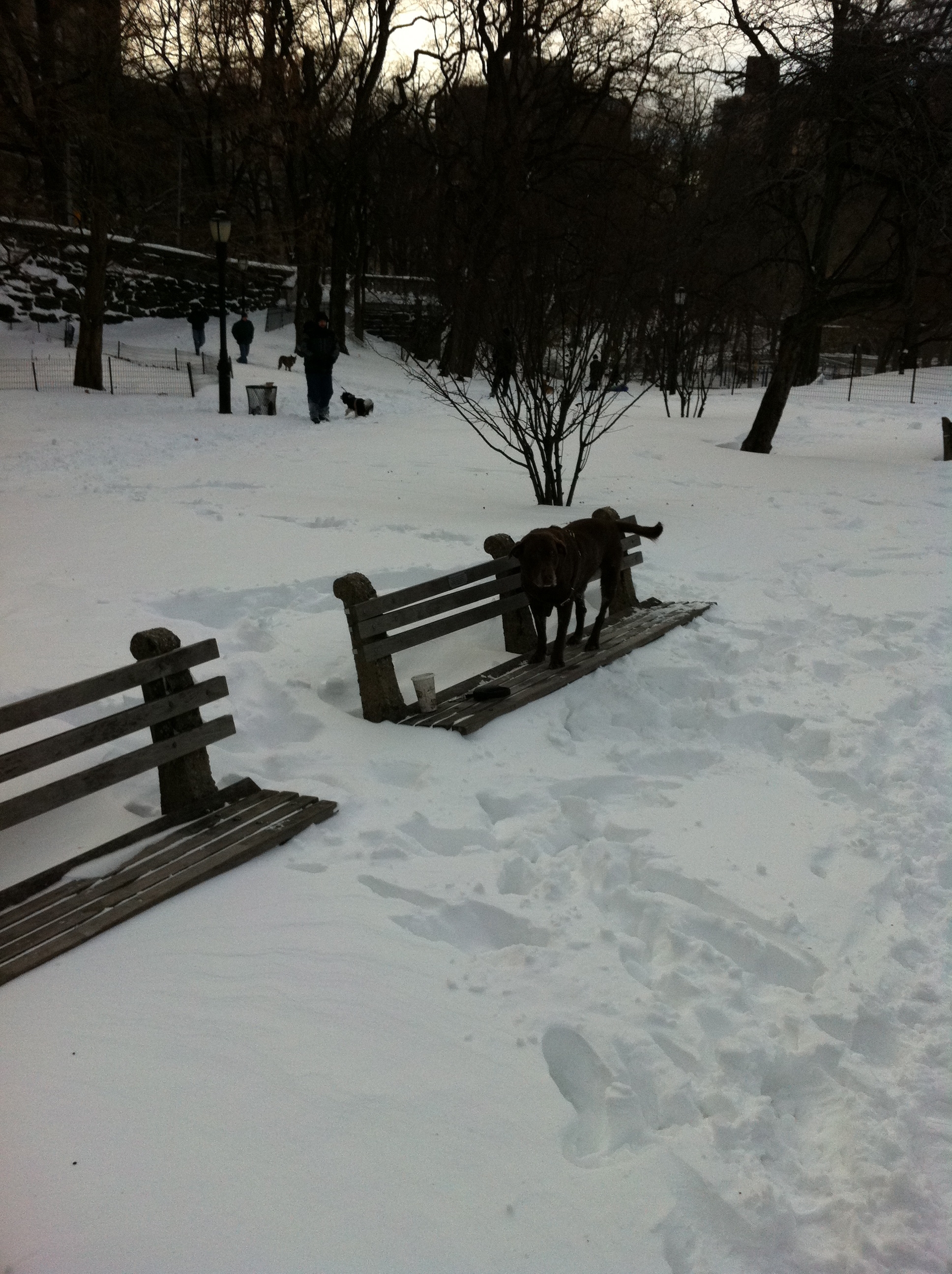 snow-riverside-park-sam-morris.jpg 