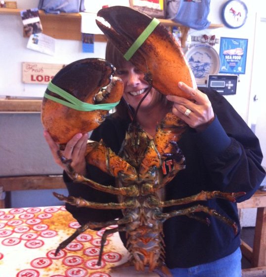 New York Aquarium Giant Lobster 