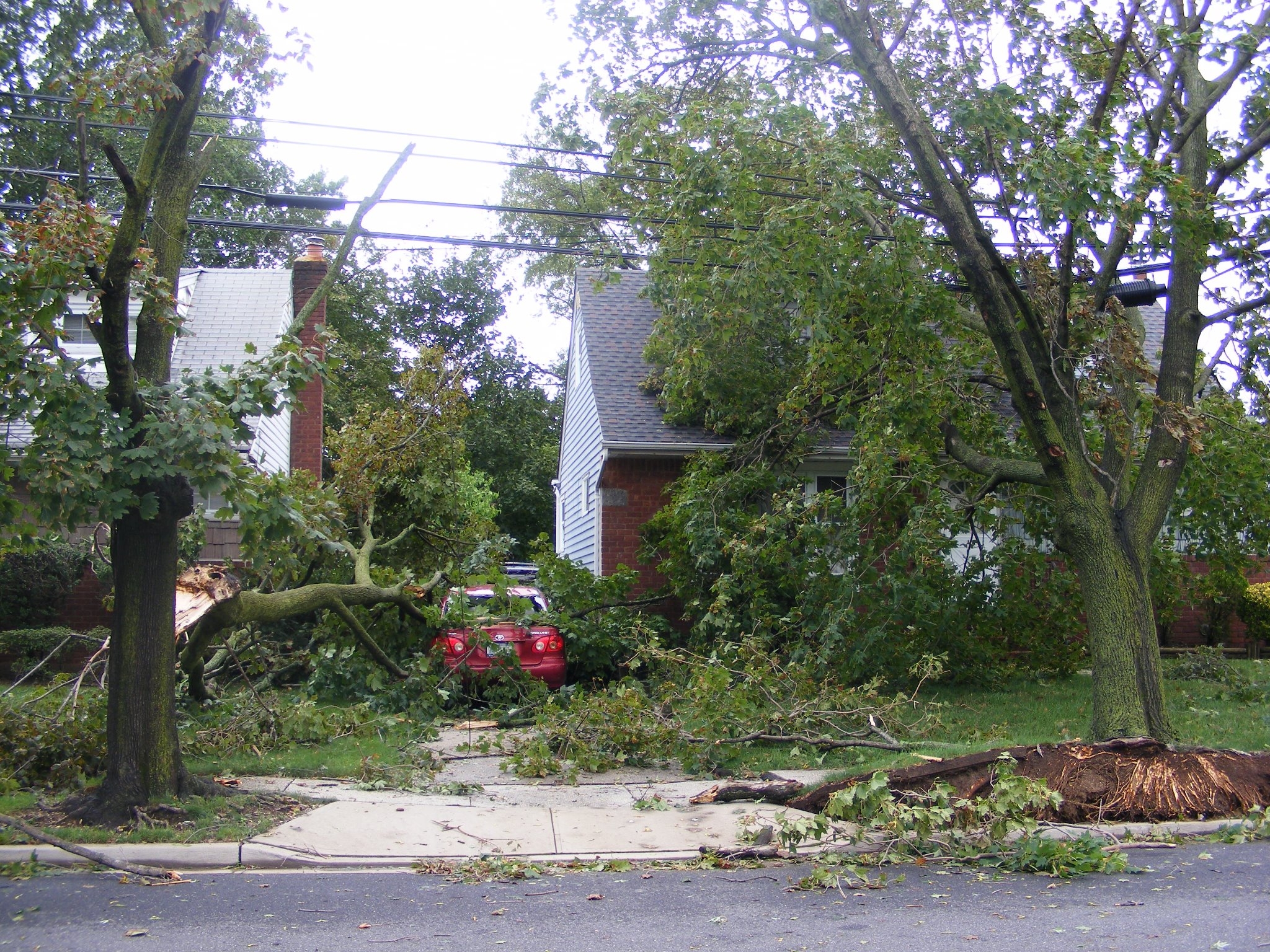 in-elmont-nassau-county-one-tree-took-out-the-car-another-landed-on-the-house-facebook-fan-pic-by-kathy-yasenchak-mcmanus.jpg 