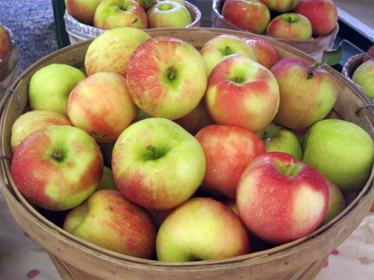 Apples Montgomery Place Orchards 