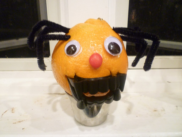 Halloween orange spider 