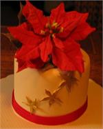 Poinsetta Holiday Cake 