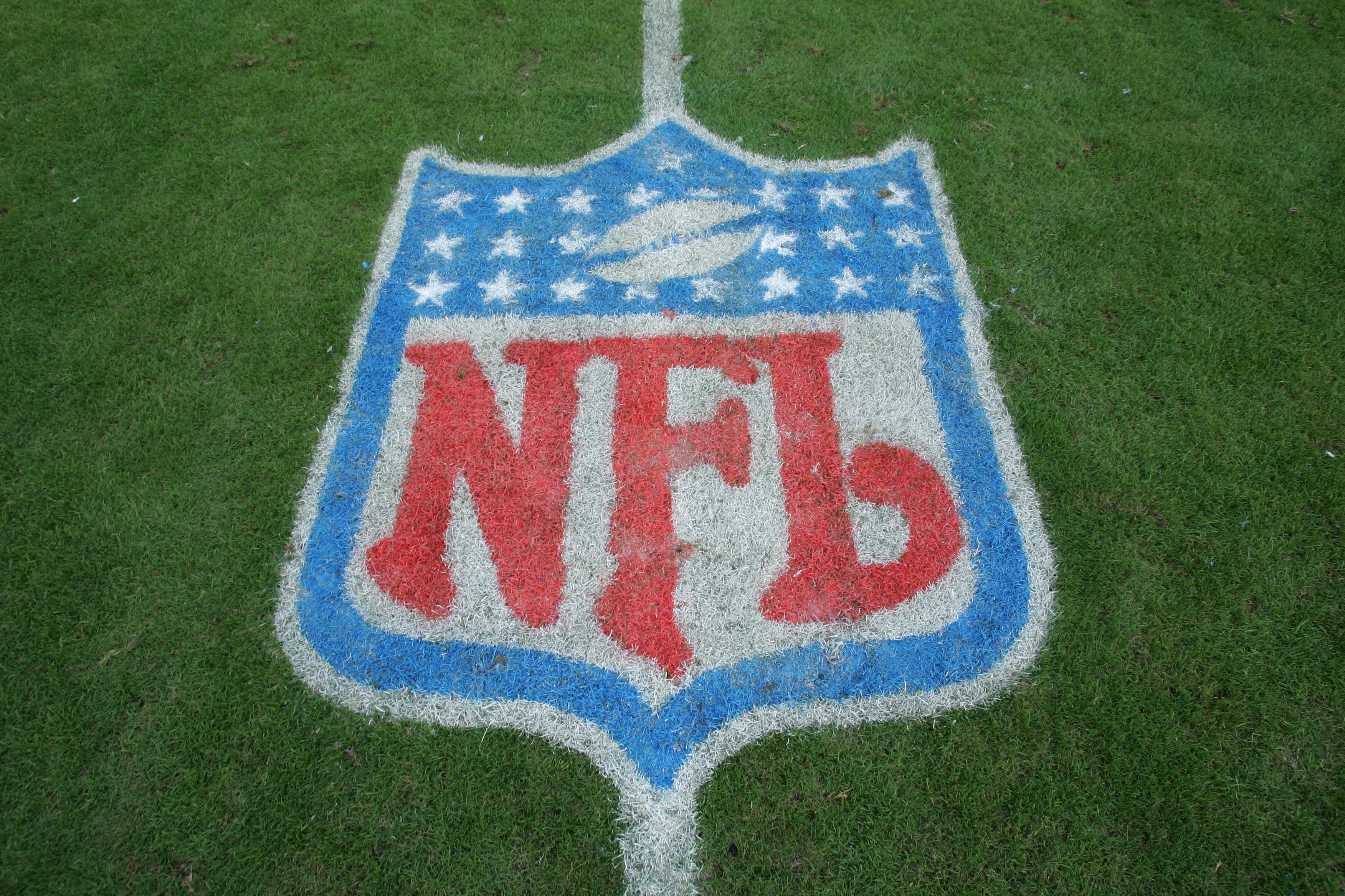 NFL Logo 