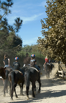 Griffith Park Horse Rental 