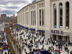Shopping &amp; Style Athletic Wear, Yankee Team Store 