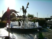 Fountain of the Dolphins in Staten Island  