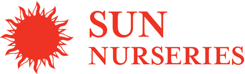 Sun Nurseries 
