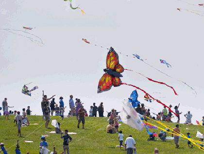 Kites Festival 
