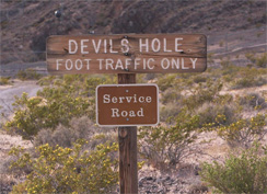 devils-hole-sign-244.jpg 
