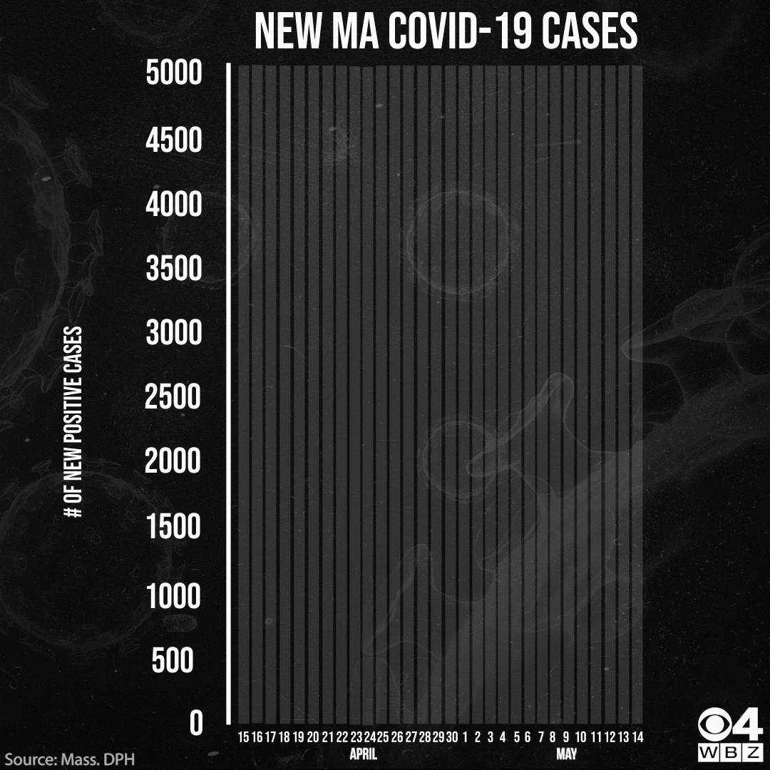 May 14 cases 