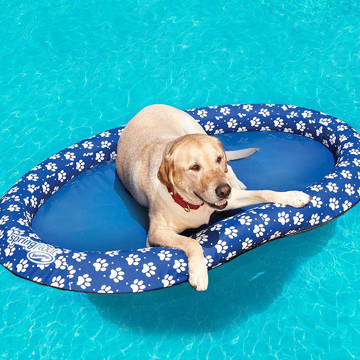 cbsnews-summer-3-dog-raft.jpg 