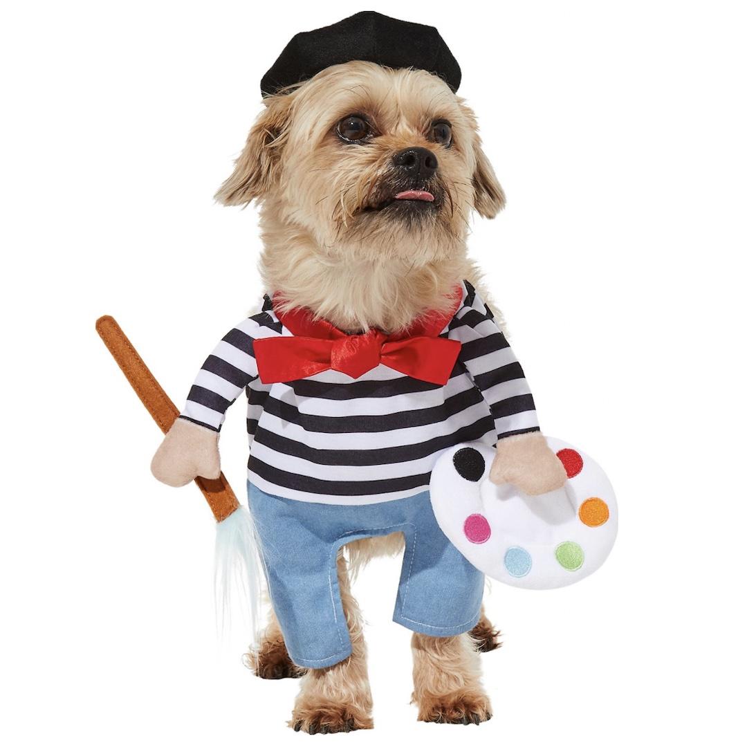 Frisco French Artist Dog Costume 