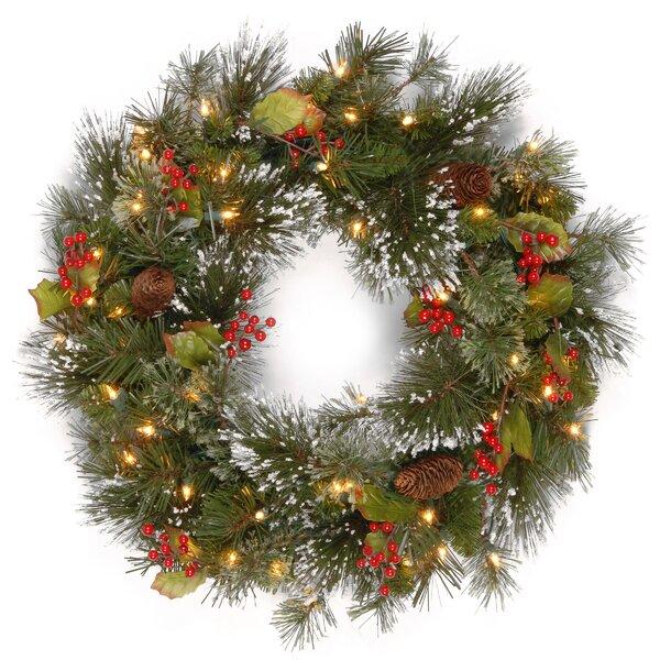 Kaye 24" lighted wreath 