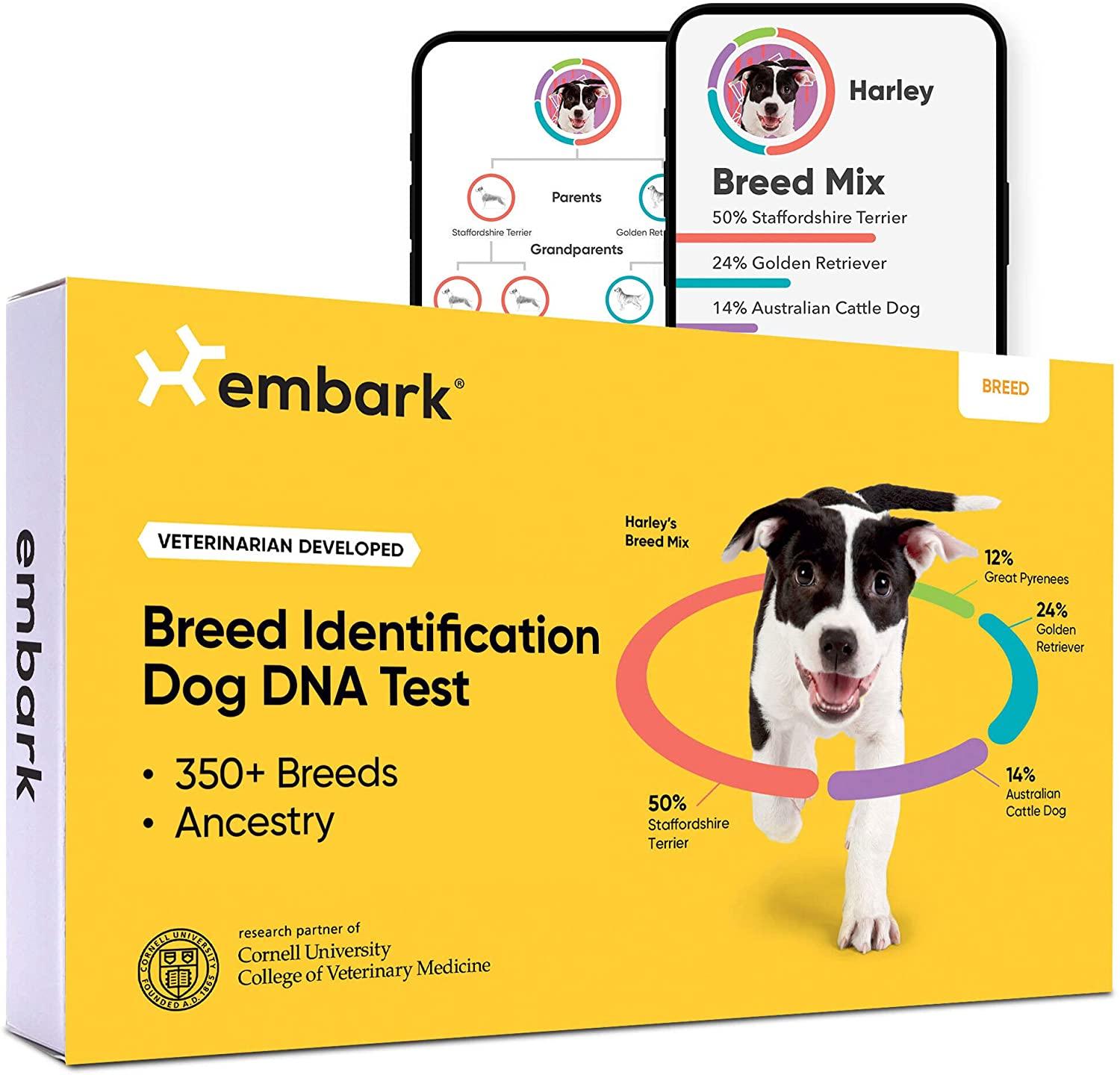 Embark dog DNA test 
