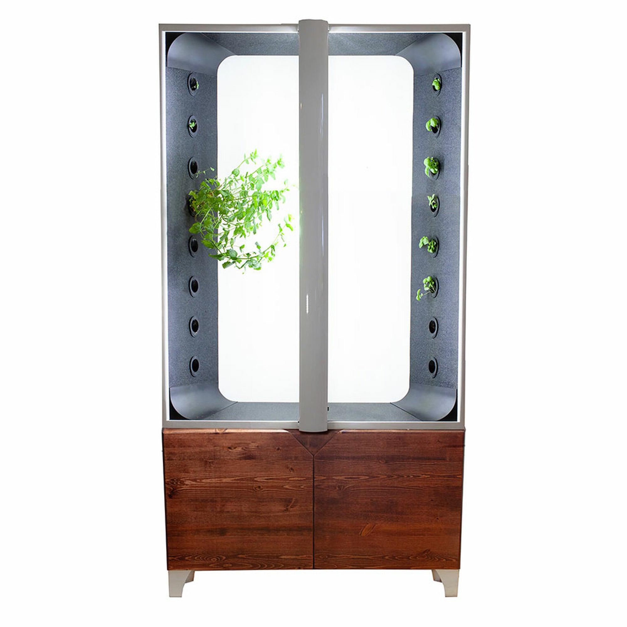 Just Vertical the Aeva indoor hydroponic garden 