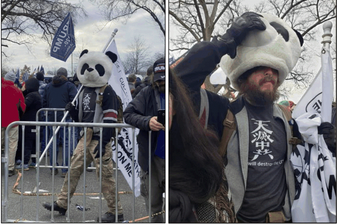 jesse-james-rumson-sedition-panda-arrested.gif 