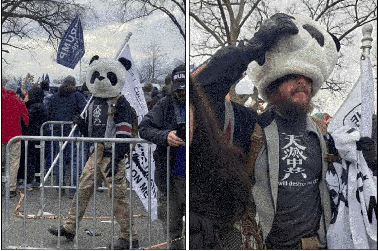 jesse-james-rumson-sedition-panda-arrested.gif