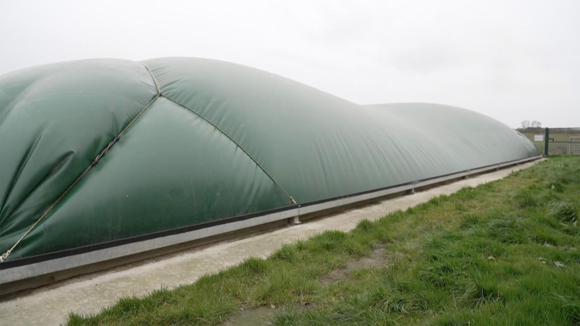 New process turns cow waste into usable gas “A form of liquid gold