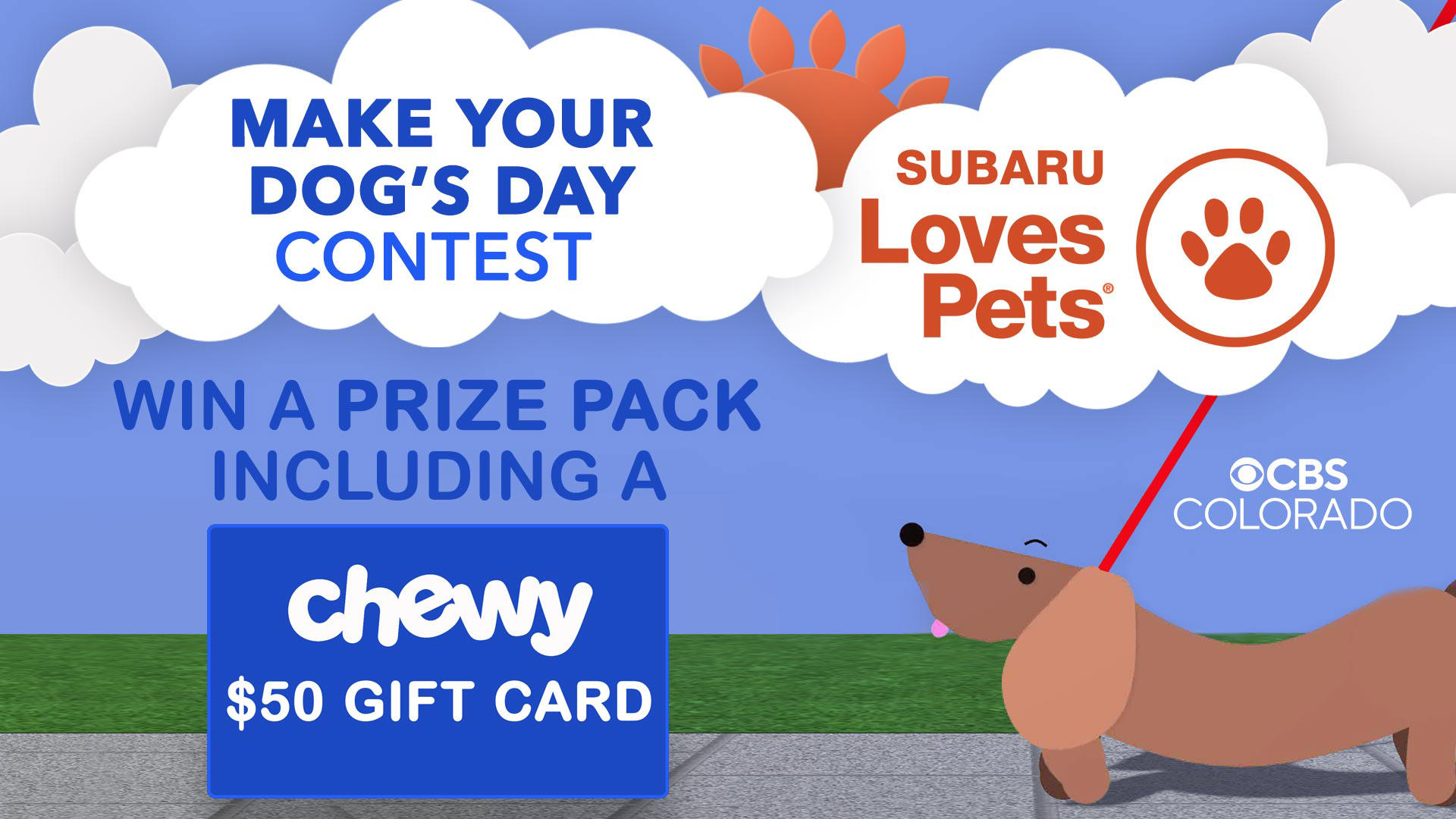 subaru-chewy-gift-card-contest.jpg 