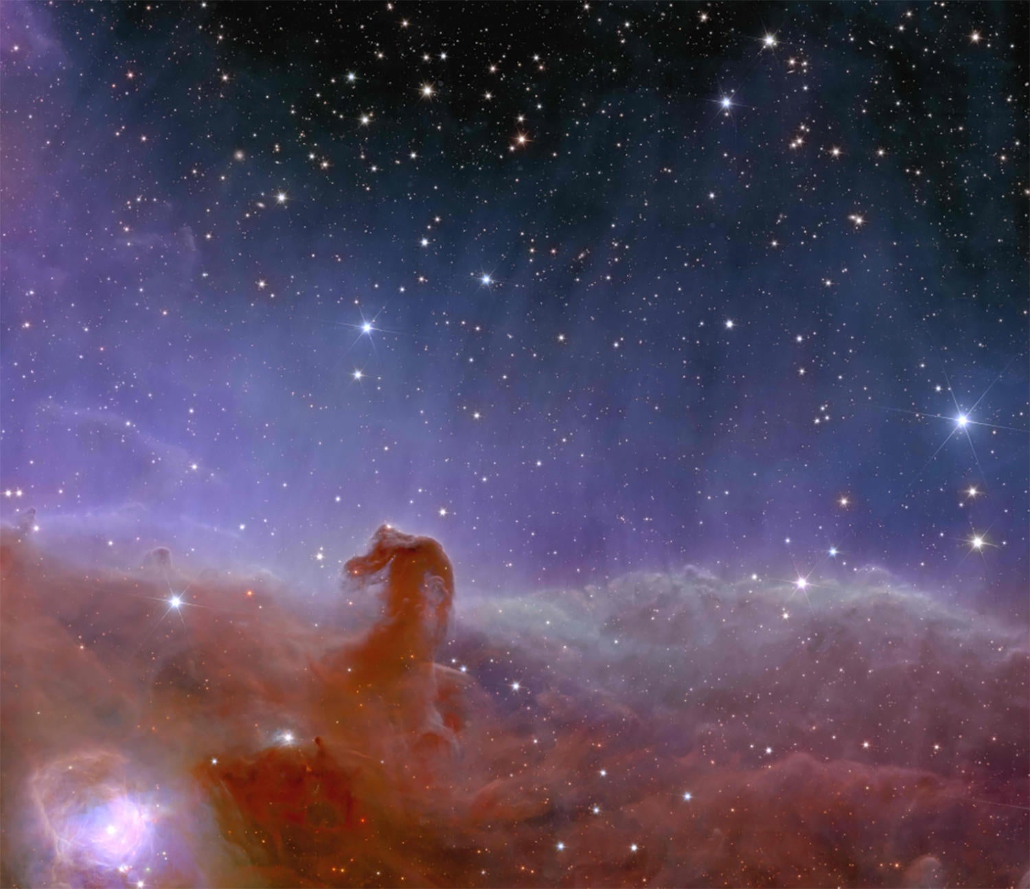horsehead-euclid.jpg