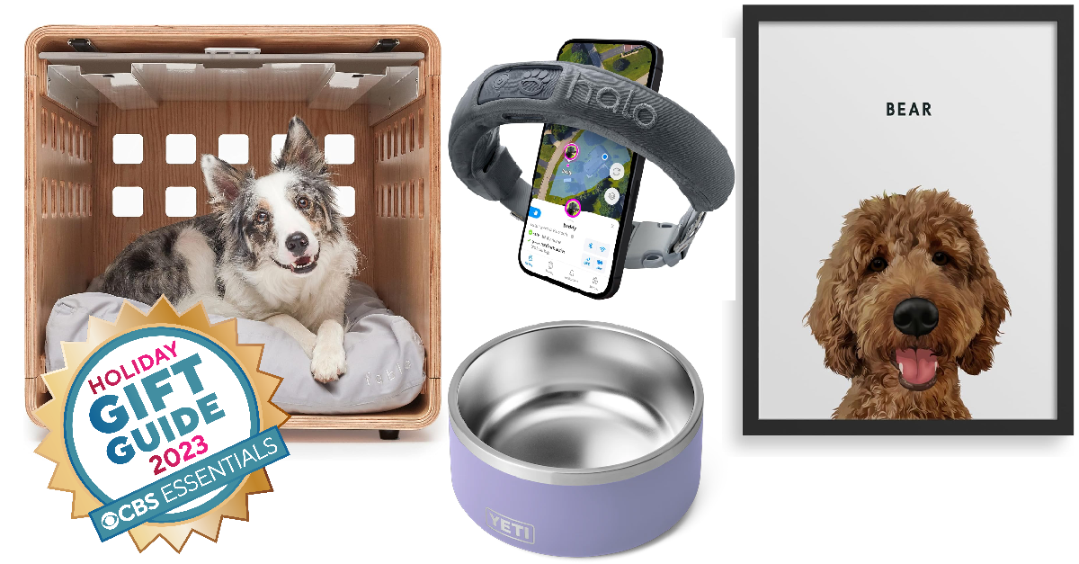 Dog Christmas gifts your furry friend will love - Tractive