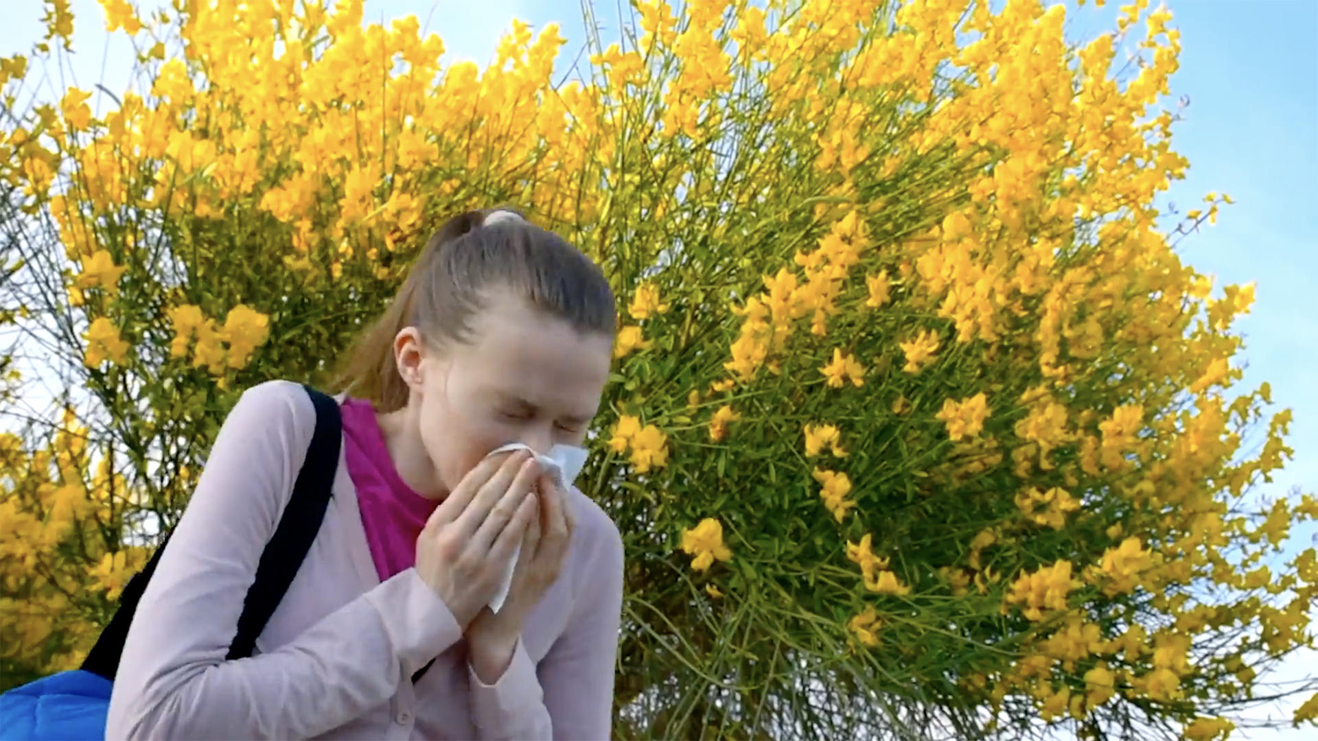 Suffering allergies? Scientists say pollen counts may be deceiving.