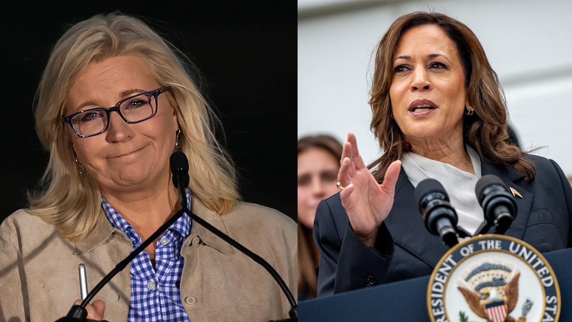 Liz Cheney says she’s voting for Kamala Harris Sandhills Express