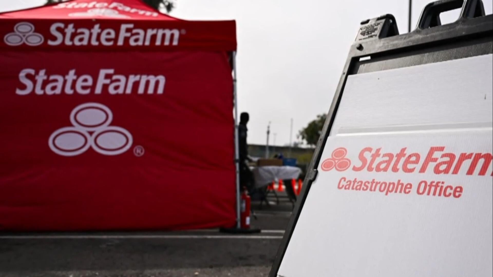 A family's dogs were trapped in their LA home with wildfires closing in