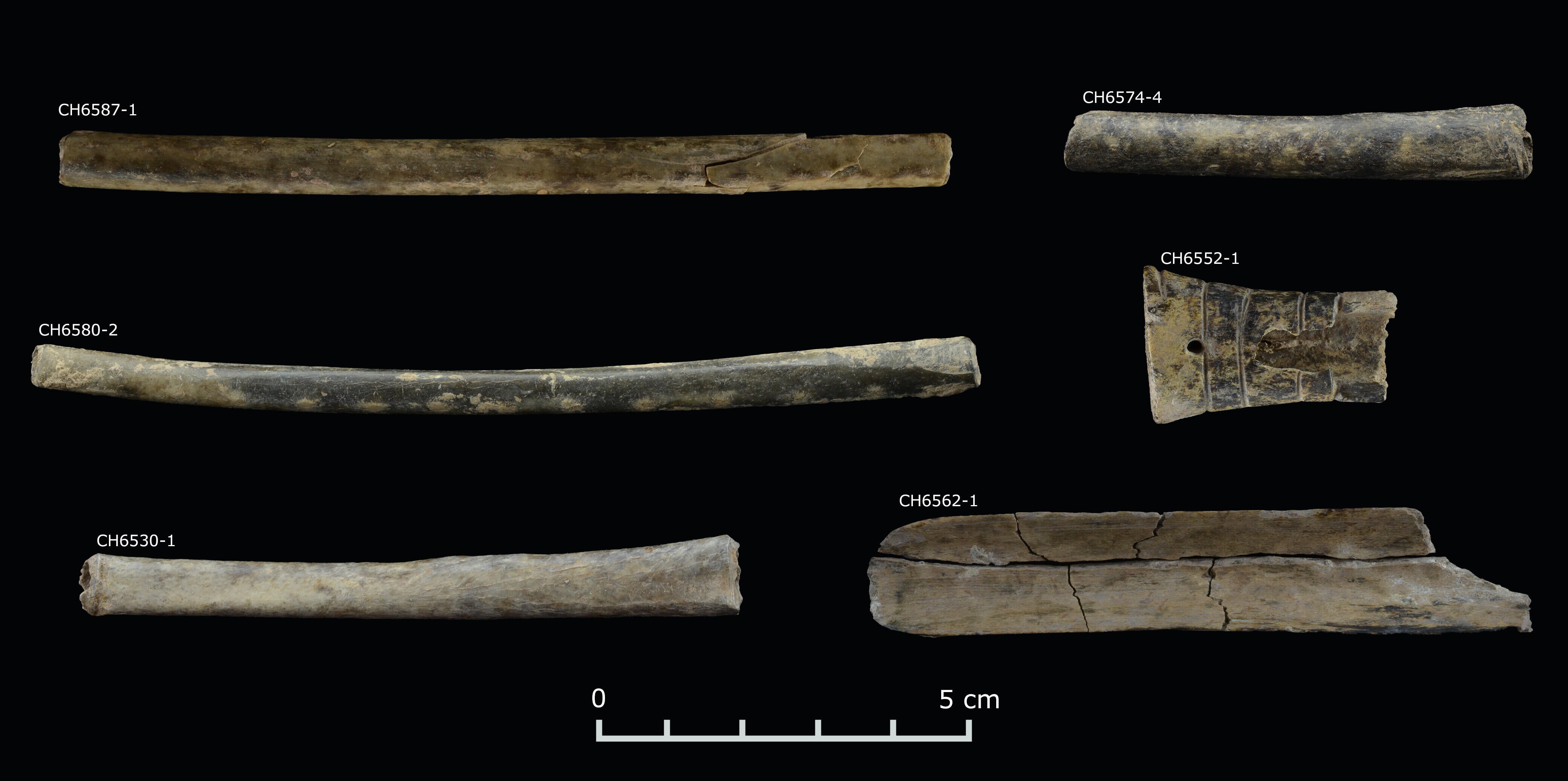 PNAZ-242512512222FIG04.jpg 