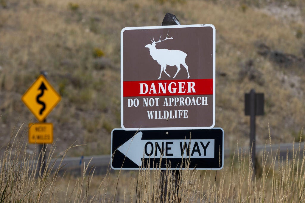 Yellowstone National Park 