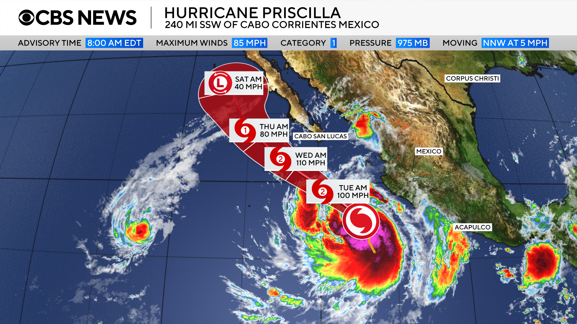 priscilla.png 