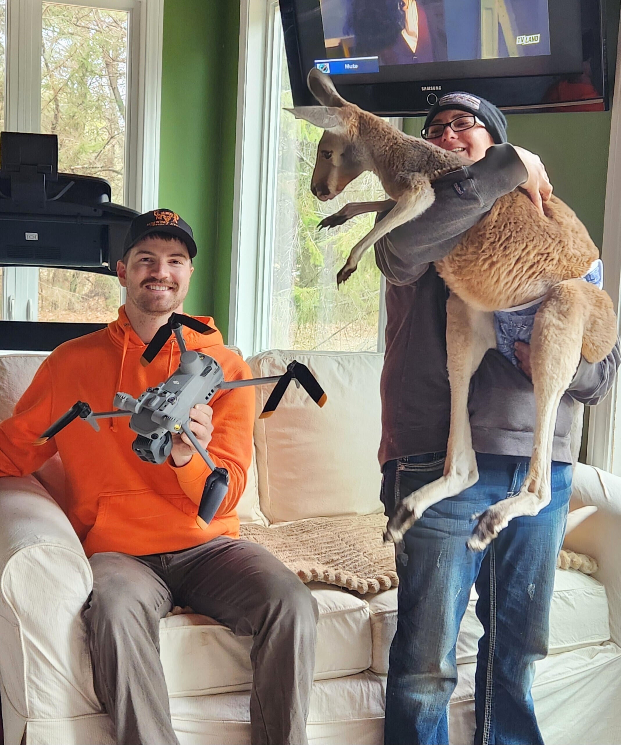 Petting Zoo Kangaroo 