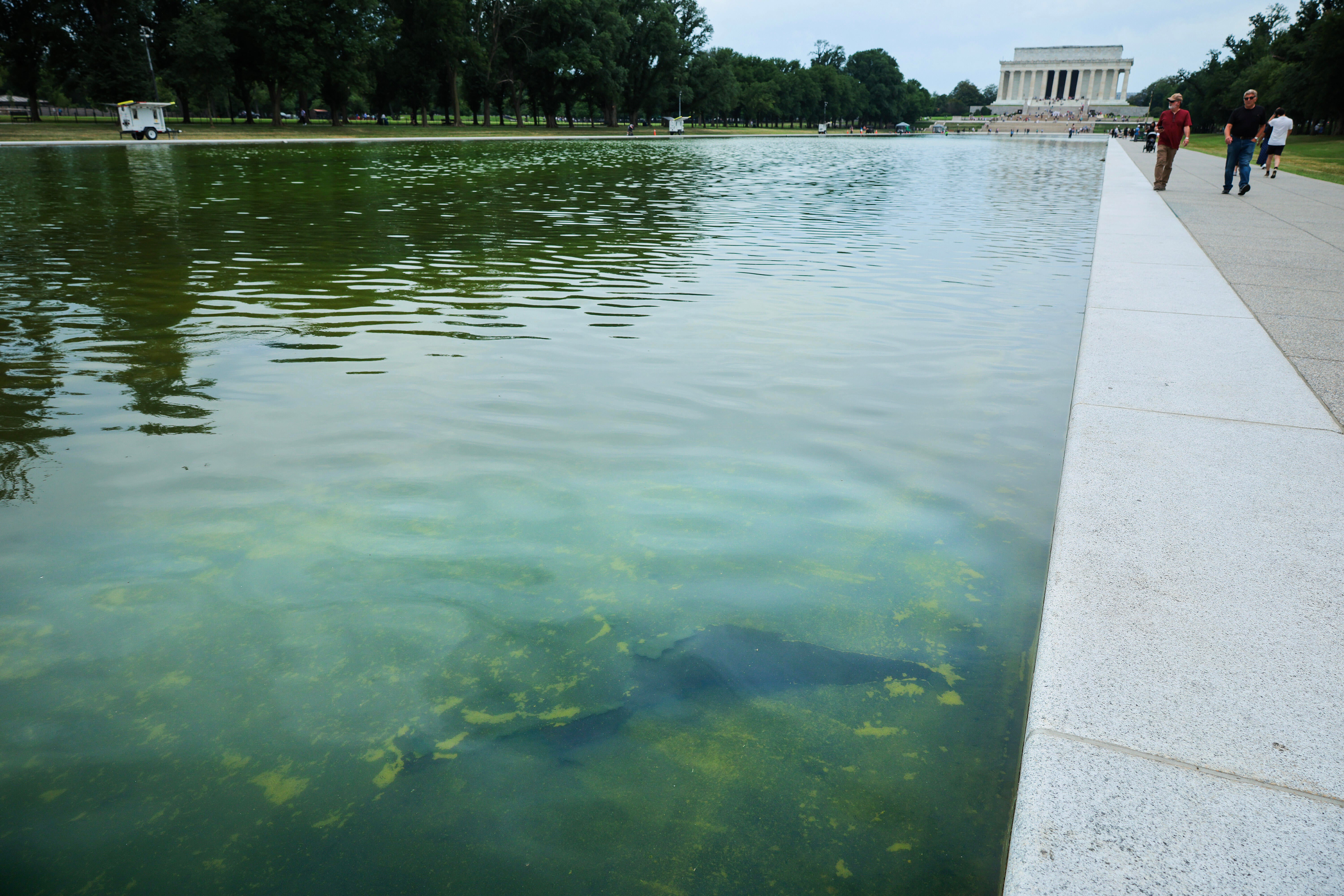 A tinta azul começa a descascar do espelho d'água do Lincoln Memorial