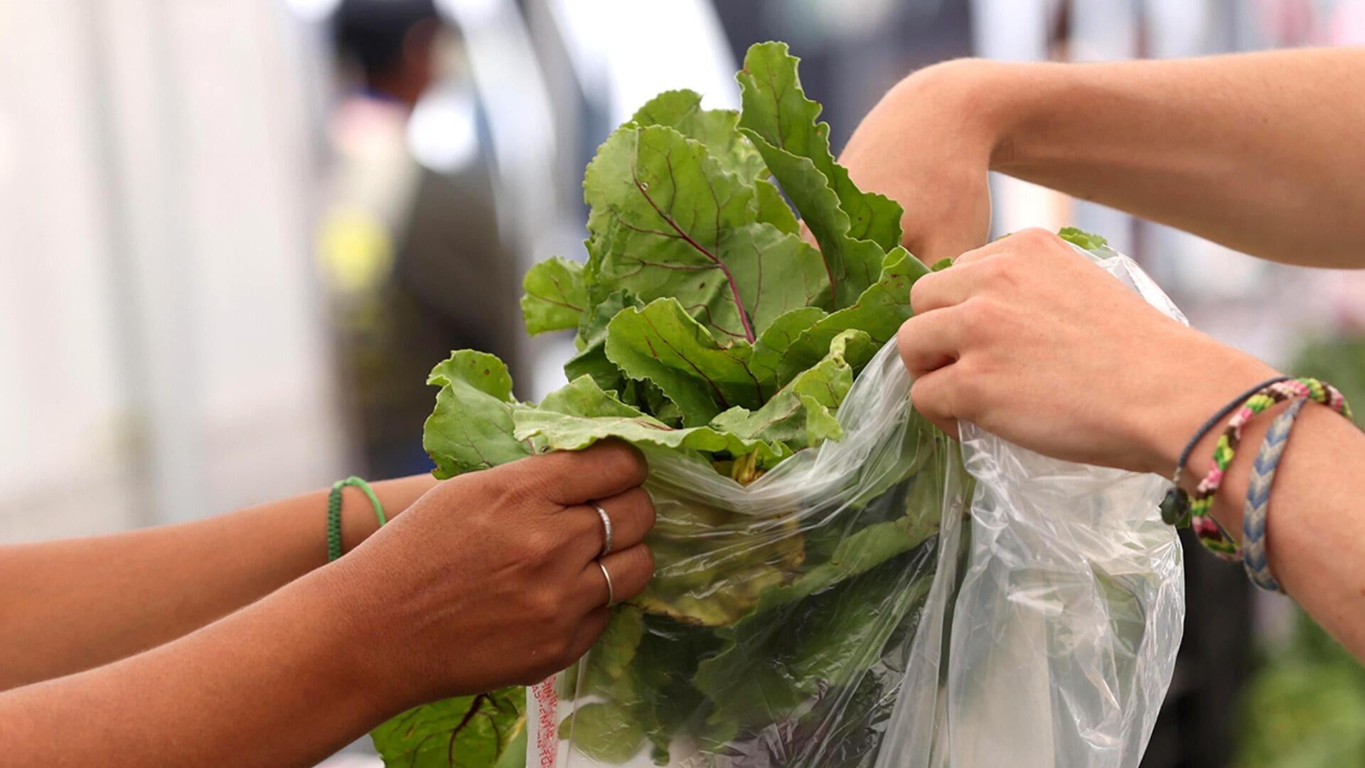 Cyclospora boosts fears that deadlier foodborne outbreaks are ahead