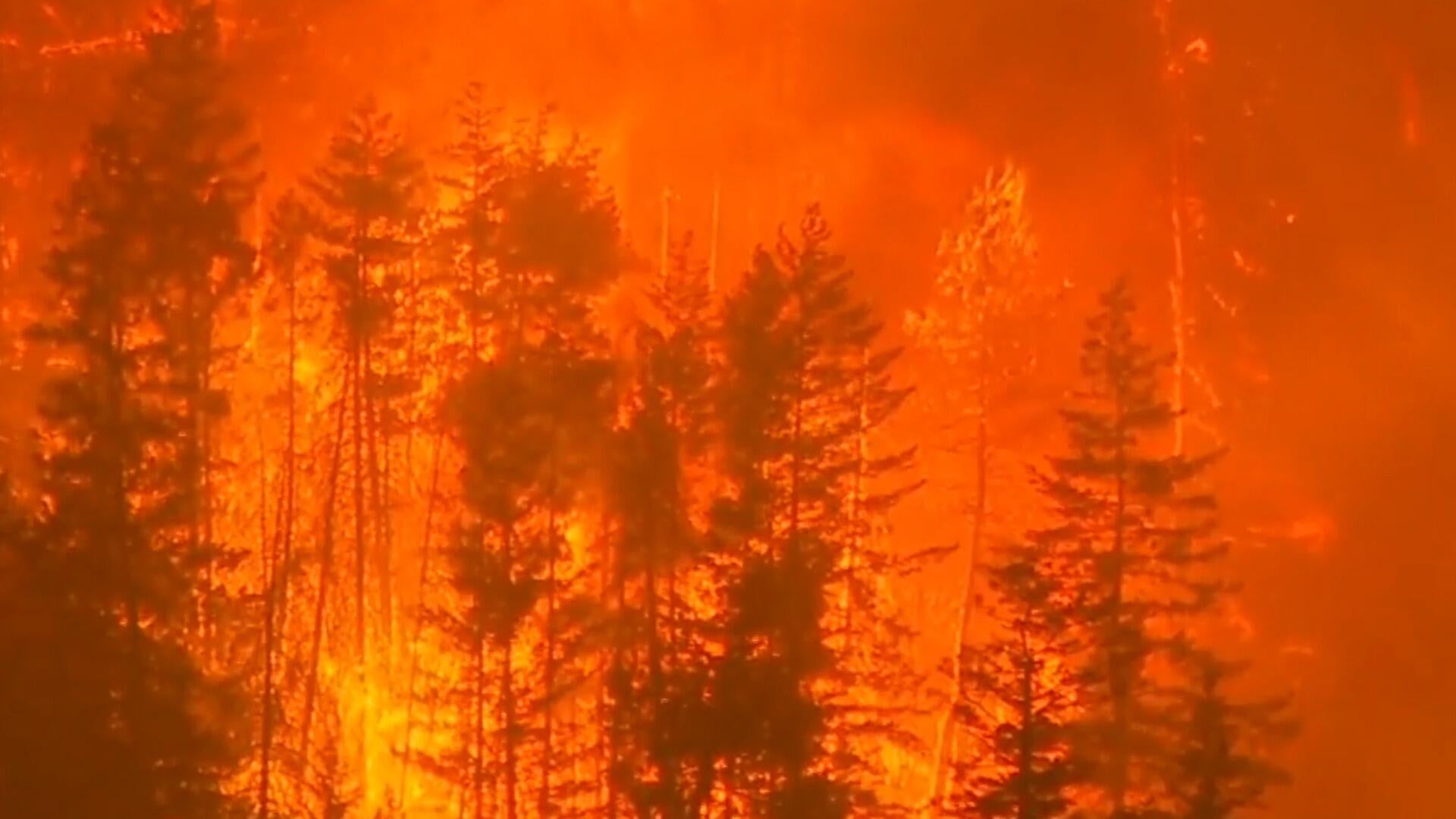 Wildfires rage, force evacuations in western U.S., Canada amid drought