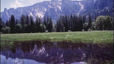 The Yosemite Murders 