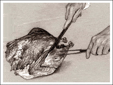 HOW TO CARVE A TURKEY 