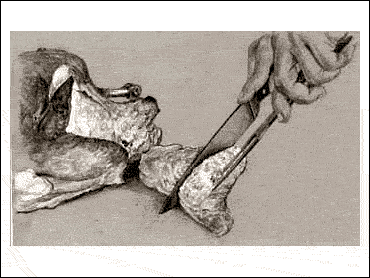 HOW TO CARVE A TURKEY 