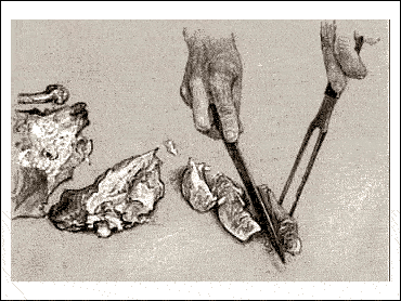 HOW TO CARVE A TURKEY 