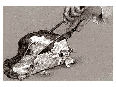 HOW TO CARVE A TURKEY 