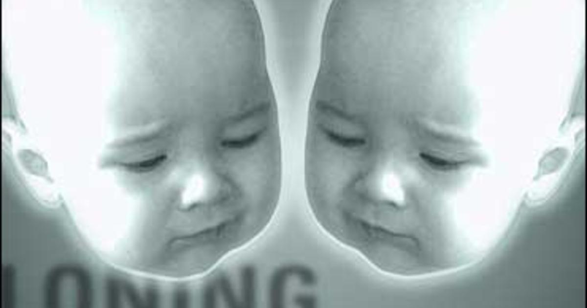 Harvard Wants To Clone Embryos CBS News