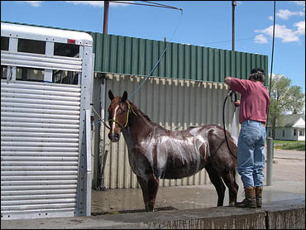 Horse Wash 
