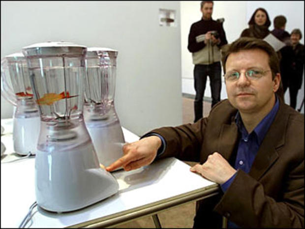 Fish In A Blender 