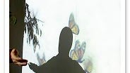 Mariposa 