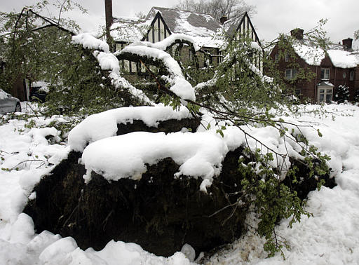 Rare Spring Snowstorm