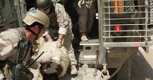Iraq Photos: Aug.1 -- Aug. 7