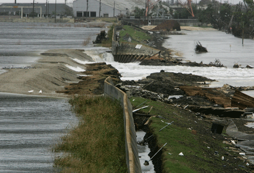 image881353.gif 